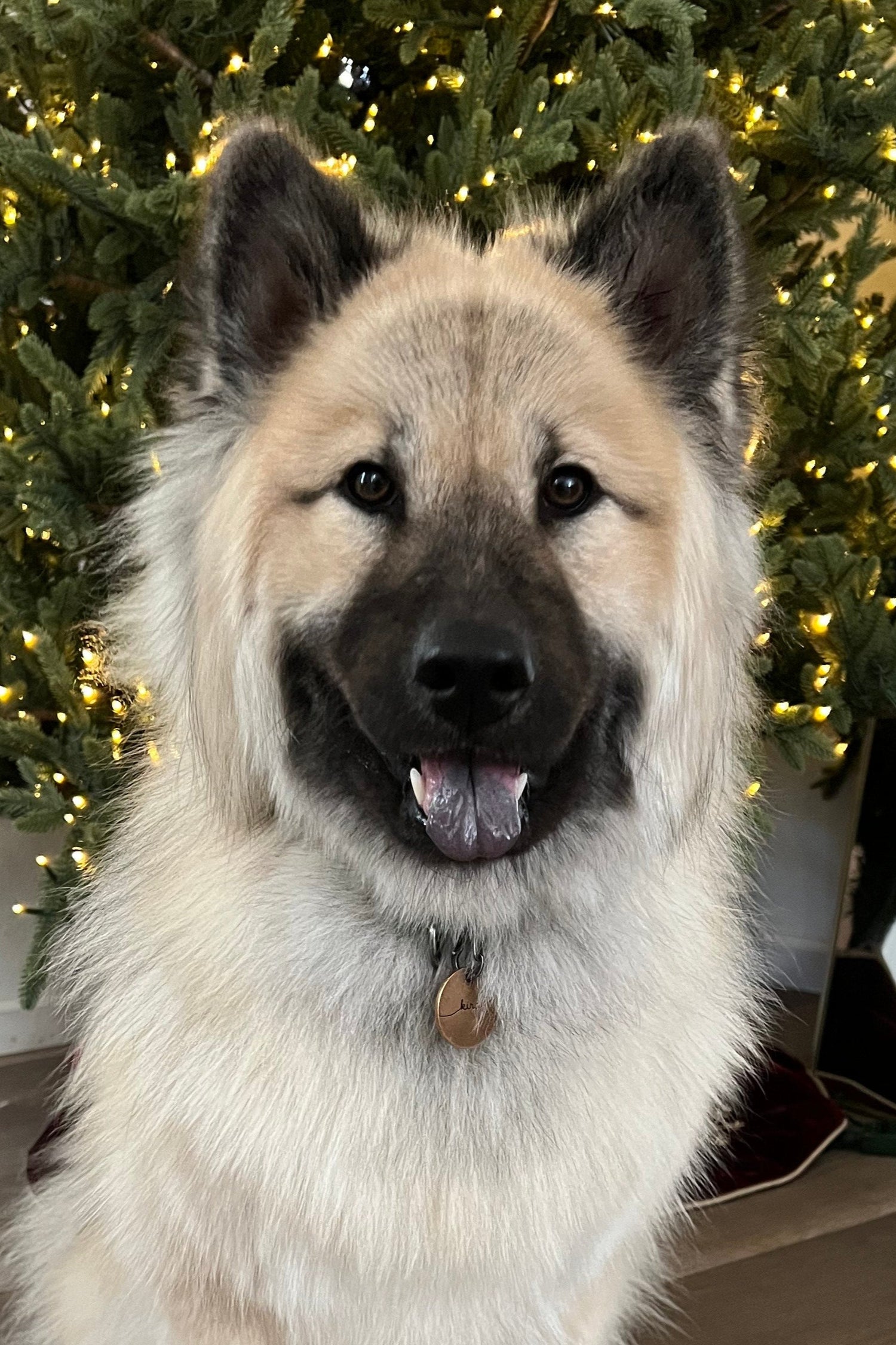 Kira
